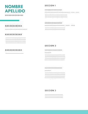 cv example